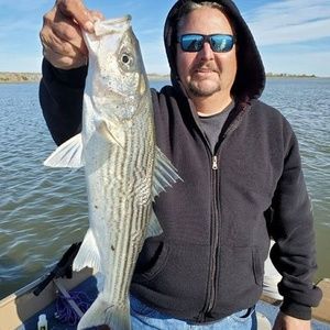 Meet your Posher, Jay